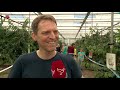 Tuinders laten zien wat groeit en bloeit in hun kassen