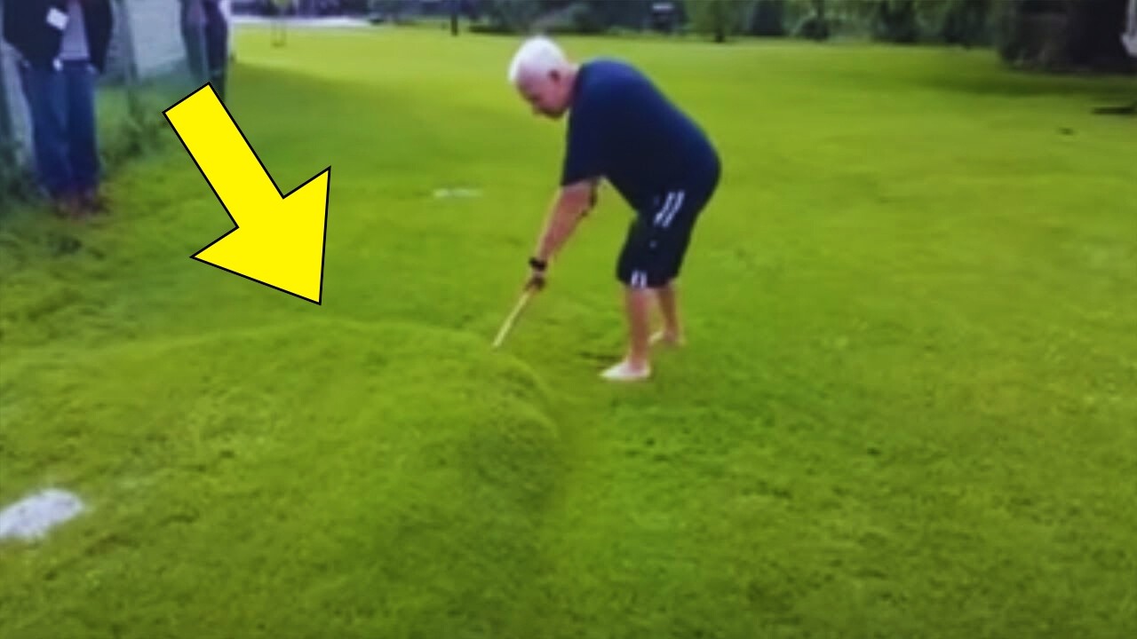 Man Spots Moving Bubble in Yard, Then This Comes Out