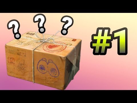 Pesquisa de campo Semanal (maio/2019)