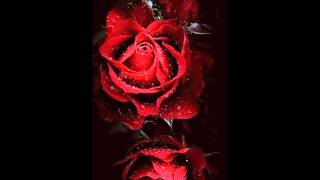 Preciosa criatura ,,Joan Sebastian.