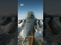 Trump Posts AI Video Of King Trump Jet Dumping Sludge On No Kings Protesters