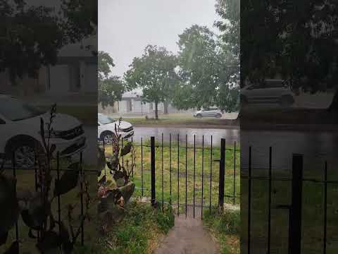 Así llovía en la zona de trenque lauquen pcia de buenos aires 17/1/26 #lluviasfuertes