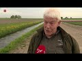 Muskusratten moeten worden teruggedrongen tot aan landsgrenzen