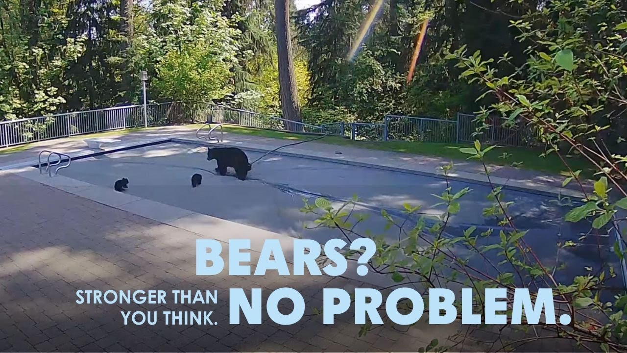 pool patrol pool covers