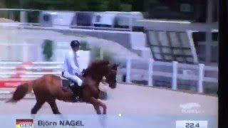 Video of Risohorse Locorotondo