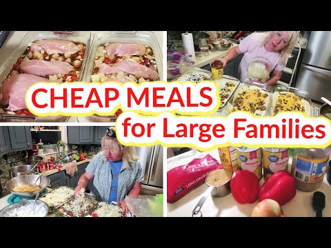 CHEAP MEALS for LARGE FAMILIES | 10 Frugal FREEZER MEALS and 3 EASY Casserole Recipes!