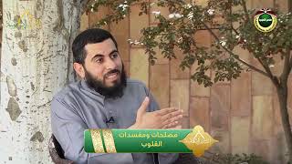 صورة برنامج دين القيمة - الحلقة 11 - مصلحات ومفسدات القلوب