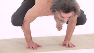 CUCULO – SARIKA ASANA