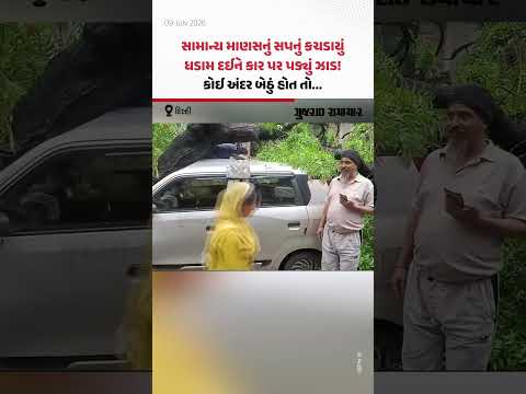 Delhi ના Ranjit Nagar માં કાર પર ઝાડ પડતાં છતનો કચ્ચરઘાણ! | Gujarat Samachar Delhi ના Ranjit Nagar માં કાર પર ઝાડ પડતાં છતનો કચ્ચરઘાણ! | Gujarat Samachar