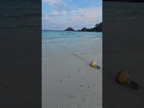 Seedance 2.0 sample 01