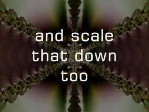 Rising Appalachia - Scale Down w/lyrics