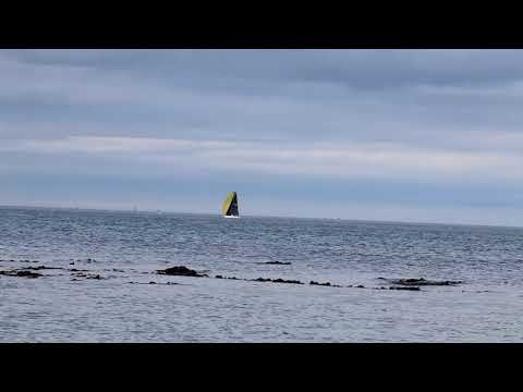 Algues 1st Movement by Bernard Andrès