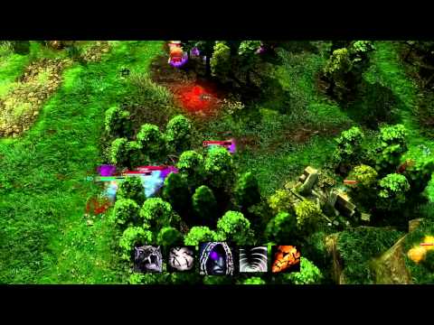 Heroes of Newerth - Wretched Hag Spotlight
