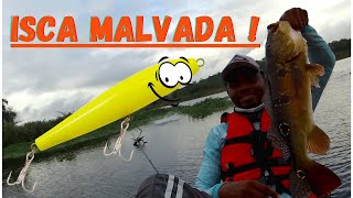 Isca Sar Sar deu Show, Tucunar  Pinima , pescaria de caiaque, Carretilha Piscifun Spark, bora 10