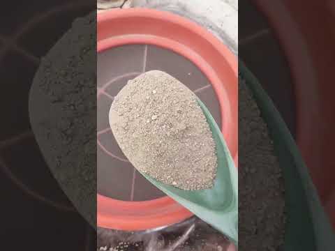 Você sabe como é feita a extração do ouro de maneira sustentável?