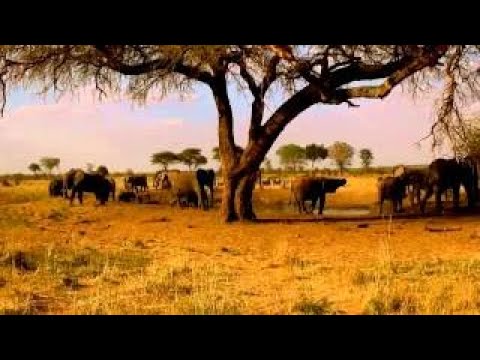 Die Wüste Fantasiereise Autogenes Training Einschlafhilfe