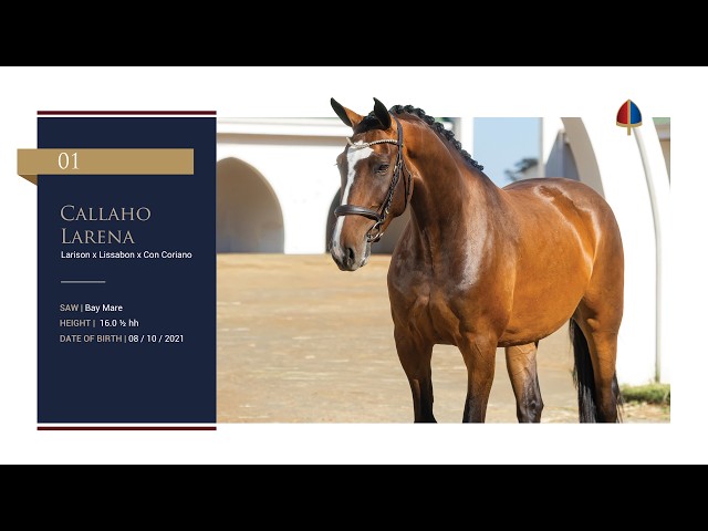 Callaho Larena
