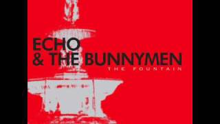 The Fountain ECHO AND THE BUNNYMEN with CHRIS MARTIN.wmv