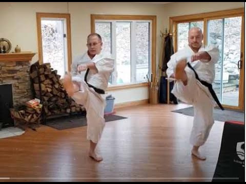 Home Shotokan Karate Training - April 12th 2021