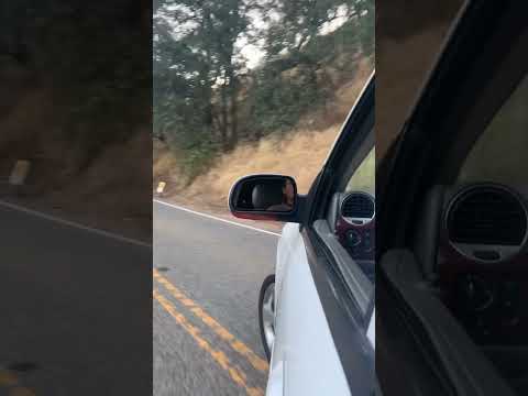 This Is What A Cammed 5.3 LS Engine Sounds Like With No Exhaust