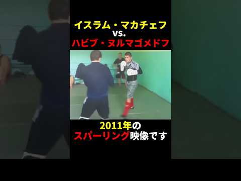 イスラム・マカチェフ vs. ハビブ・ヌルマゴメドフのスパーリング #格闘技#mma#ufc