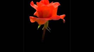 Sergei Rachmaninoff : Vocalise for Cello and Piano, No. 14, Op. 34