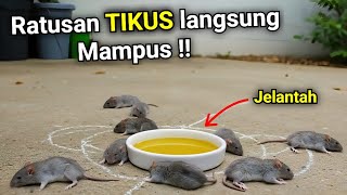 Download lagu KENAPA TIDAK DARI DULU‼️Padahal banyak yang butuh cara ini mp3 Download lagu KENAPA TIDAK DARI DULU‼️Padahal banyak yang butuh cara ini mp3