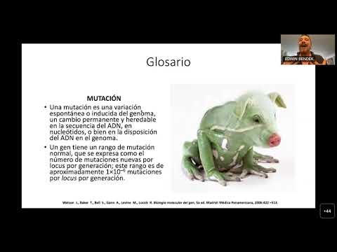 Conferencia SIGEH - "mtDNA y ancestría matrilineal, los inicios de un viaje personal".