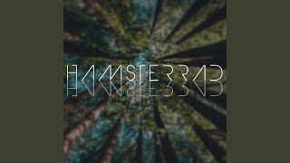Hamsterrad Music Video
