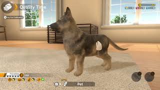 Little Friends: Dogs & Cats (Nintendo Switch) (HQ)