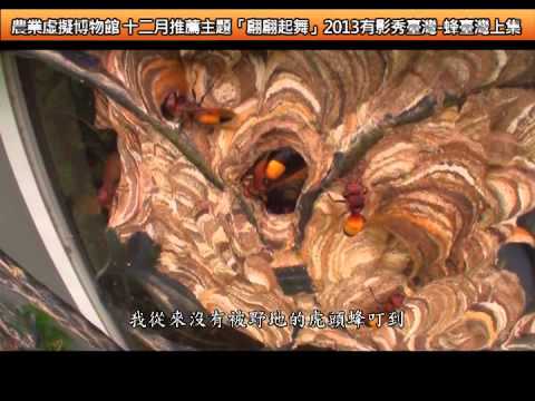 103虛博推薦主題  -  12月翩翩起舞