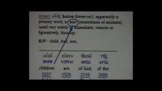 Final Warning Part 2