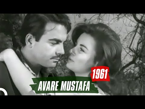 Avare Mustafa | 1961 | Ayhan Işık - Fatma Girik