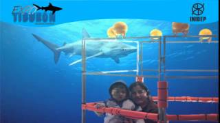 DIA 2 Expo Tiburon40