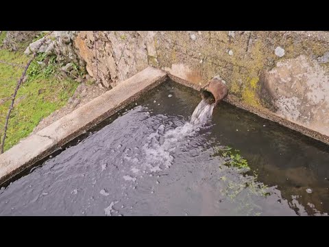 Now the springs are really flowing. 👍😉