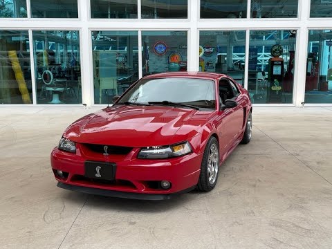 1999 Ford Mustang SVT Cobra (CC-1678263) for sale in Palmetto, Florida