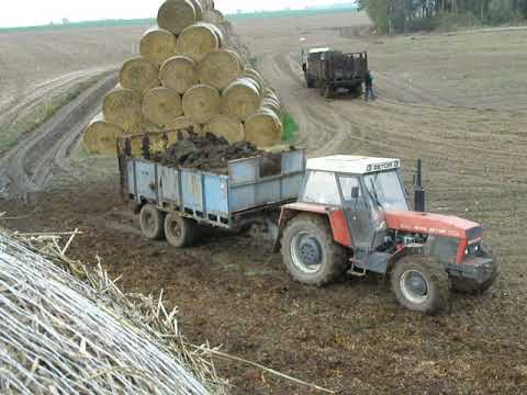 Akcja Obornik 2015 - Brzysko - Rol cz 6