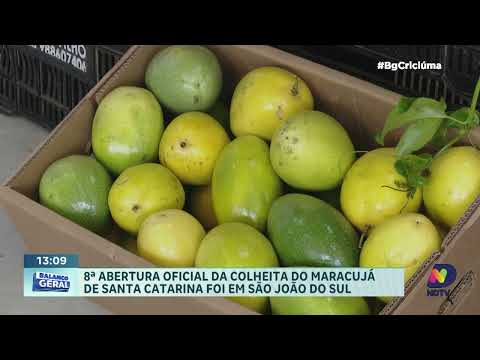 Sul de Santa Catarina produz 90% do maracujá do estado