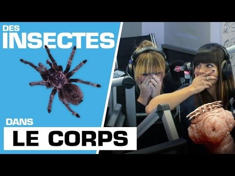 Ils ont des insectes dans le corps ! - Marion et Anne-So