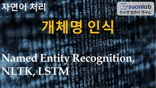 개체명 인식 Named Entity Recognition