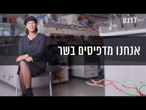 הדפסת בשר והנדסת רקמות מתקדמת: הצצה למעבדות של הטכניון