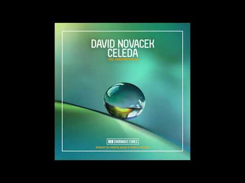 DAVID NOVACEK feat. CELEDA- The Underground (Croatia Squad x Daniel Portman Extended Remix)