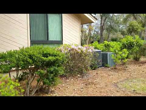 Captains Cove - Palmetto Dunes - Hilton Head Ocean Front Real Estate