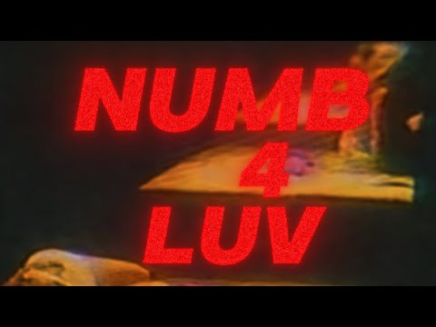 PRZNT x 2SCRATCH - NUMB 4 LUV (PROD. ADRIAN CHAFER) LYRICS