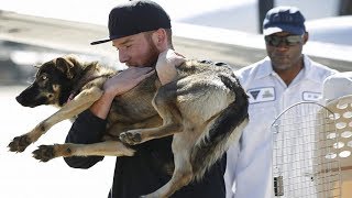 Young Fisherman Whose Dog Fell Overboard In The Ocean Gets Strange Phone Call Weeks Later