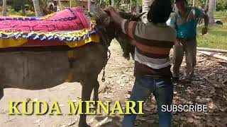 Download lagu Begini Cara Orang Mandar Latih Kuda Bisa Pintar Menari mp3