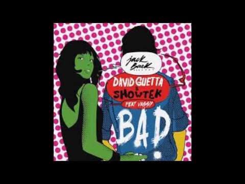 David Guetta & Showtek ft. Vassy Vs. Martin Garrix - Bad Animals (Madebymic mashup)