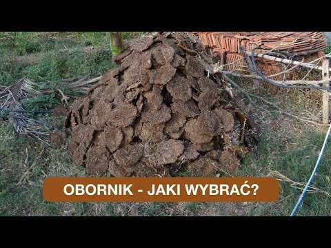, title : 'Obornik - Jaki Jest Najlepszy Pod Warzywa?'