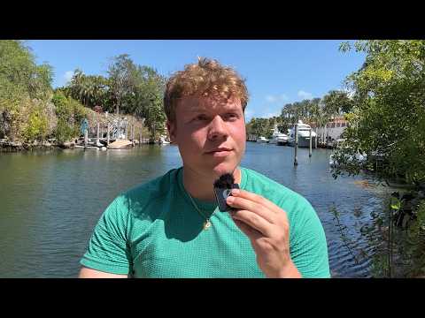 why should you be optimistic when everything sucks