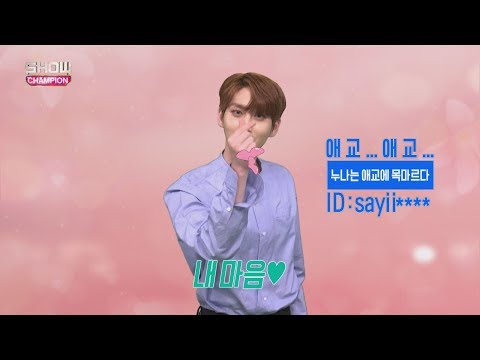 Show Champion EP.233 Could You Do This? ' PENTAGON'